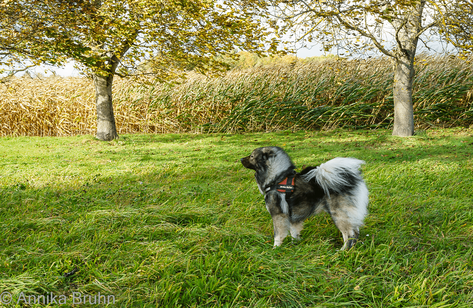 Puh, ganz schön windig heute!